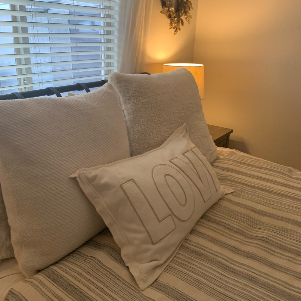 Pottery Barn Two Euro Ivory Shams - chenille and shearling